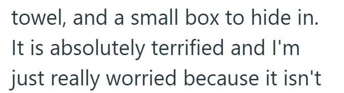 towel, and a small box to hide in. It is absolutely terrified and I'm just really worried because it isn't