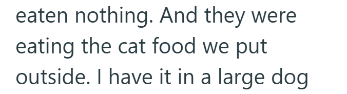 eaten nothing. And they were eating the cat food we put outside. I have it in a large dog