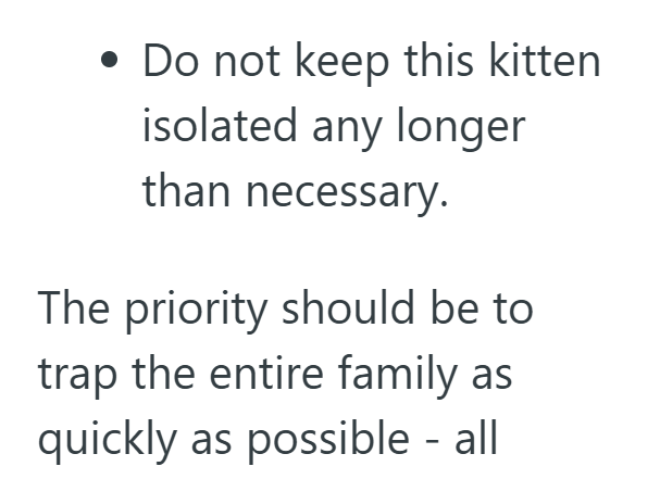 • Do not keep this kitten isolated any longer than necessary. The priority should be to trap the entire family as quickly as possible - all