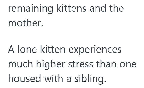 remaining kittens and the mother. A lone kitten experiences much higher stress than one housed with a sibling.