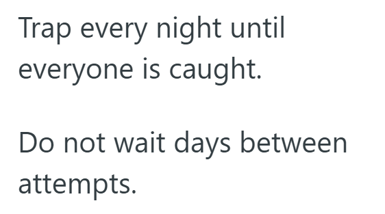 Trap every night until everyone is caught. Do not wait days between attempts.