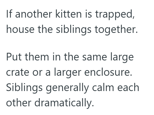 If another kitten is trapped, house the siblings together. Put them in the same large crate or a larger enclosure. Siblings generally calm each other dramatically.