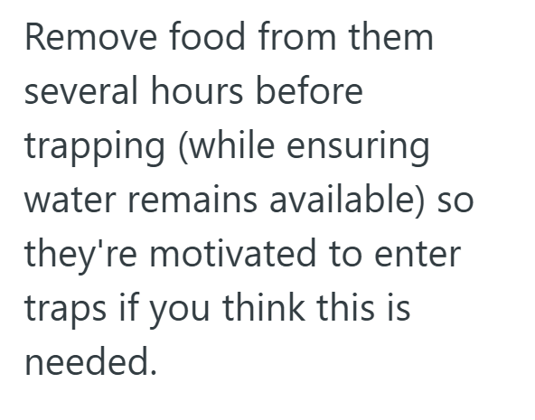 Remove food from them several hours before trapping (while ensuring water remains available) so they're motivated to enter traps if you think this is needed.