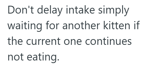 Don't delay intake simply waiting for another kitten if the current one continues not eating.