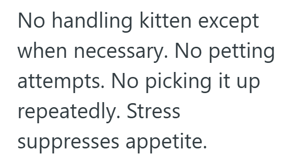 No handling kitten except when necessary. No petting. attempts. No picking it up repeatedly. Stress suppresses appetite.