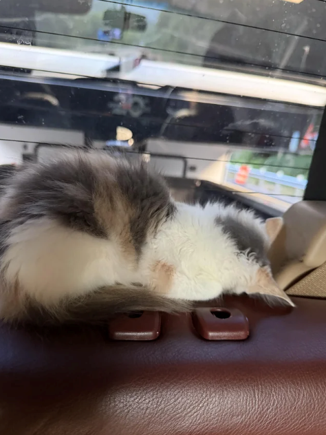 ac
