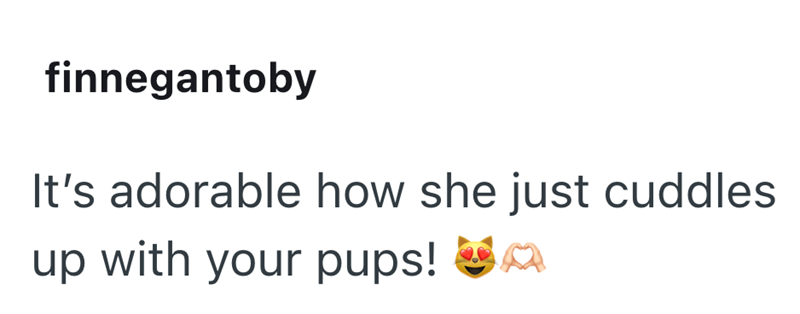 finnegantoby It's adorable how she just cuddles up with your pups!
