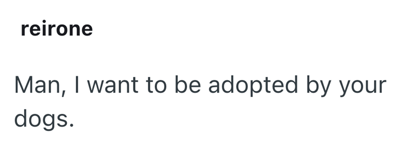 reirone Man, I want to be adopted by your dogs.