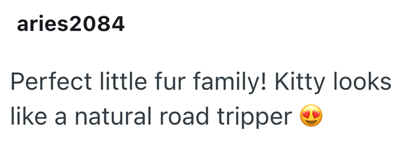 aries2084 Perfect little fur family! Kitty looks like a natural road tripper