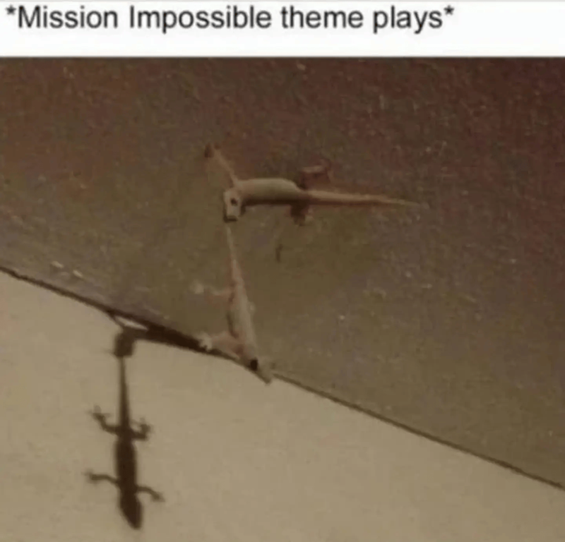 *Mission Impossible theme plays*