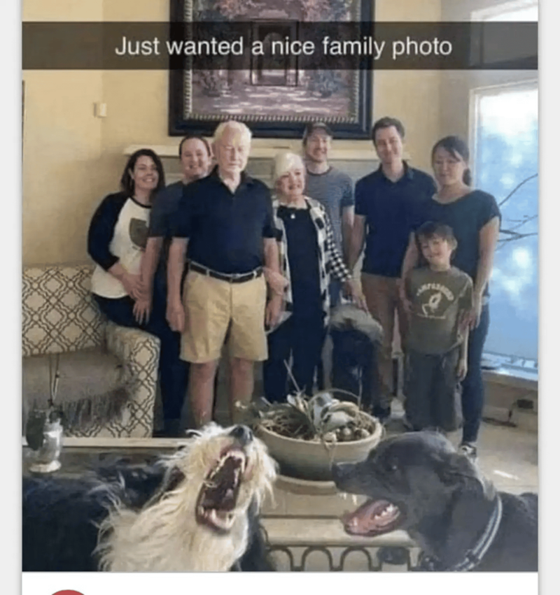 Just wanted a nice family photo