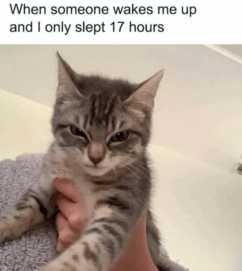 When someone wakes me up and I only slept 17 hours