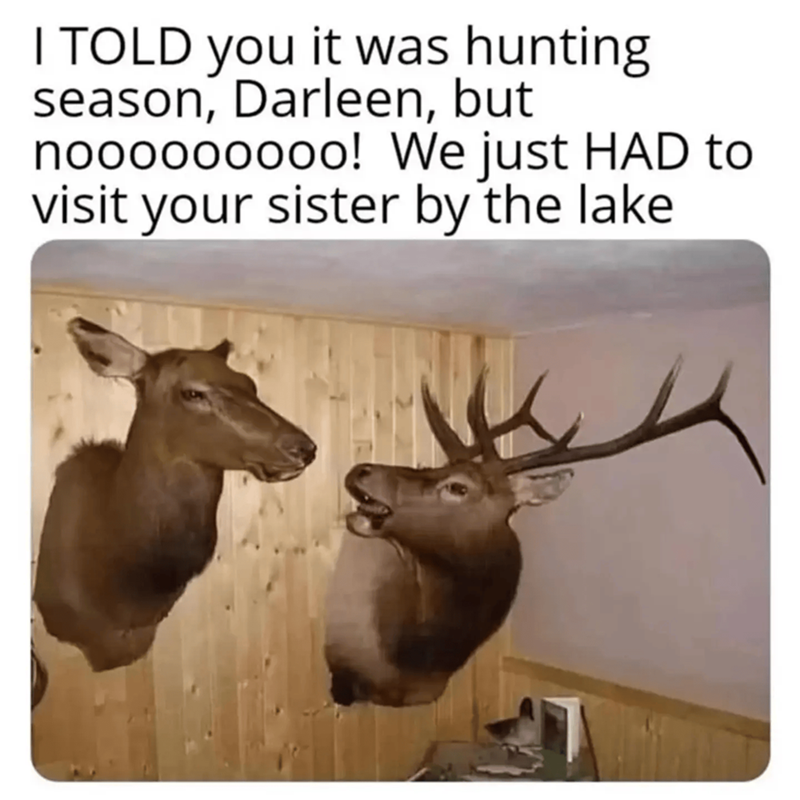 I TOLD you it was hunting season, Darleen, but nooooooooo! We just HAD to visit your sister by the lake