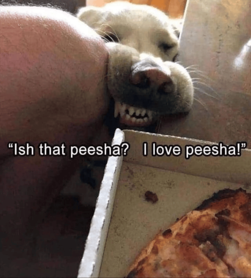"Ish that peesha? I love peesha!"