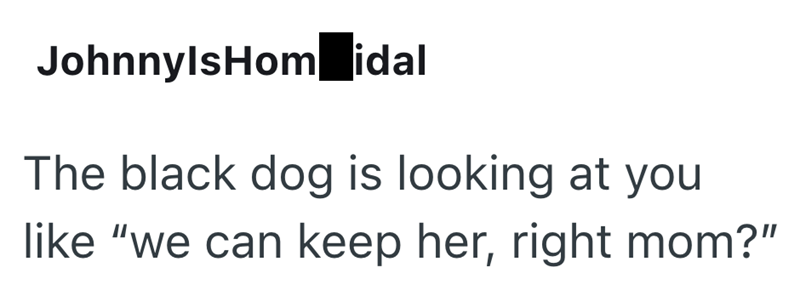 JohnnylsHom idal The black dog is looking at you like "we can keep her, right mom?"