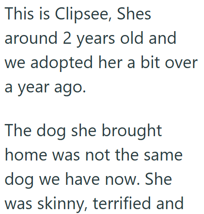 This is Clipsee, Shes around 2 years old and we adopted her a bit over a year ago. The dog she brought home was not the same dog we have now. She was skinny, terrified and