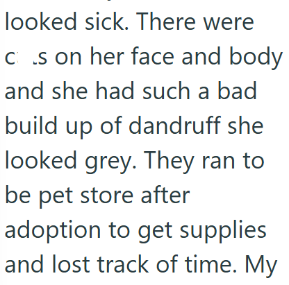 looked sick. There were cs on her face and body and she had such a bad build up of dandruff she looked grey. They ran to be pet store after adoption to get supplies and lost track of time. My