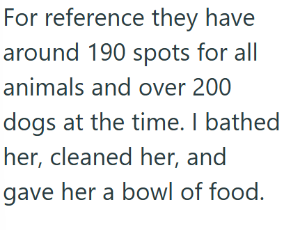 For reference they have around 190 spots for all animals and over 200 dogs at the time. I bathed her, cleaned her, and gave her a bowl of food.