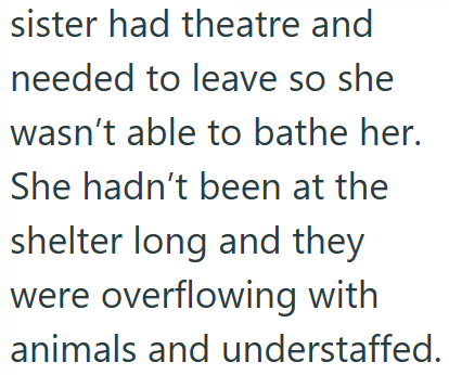 sister had theatre and needed to leave so she wasn't able to bathe her. She hadn't been at the shelter long and they were overflowing with animals and understaffed.