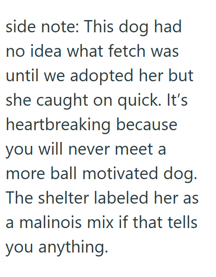 side note: This dog had no idea what fetch was until we adopted her but she caught on quick. It's heartbreaking because you will never meet a more ball motivated dog. The shelter labeled her as a malinois mix if that tells you anything.