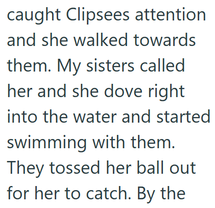 caught Clipsees attention and she walked towards them. My sisters called her and she dove right into the water and started swimming with them. They tossed her ball out for her to catch. By the