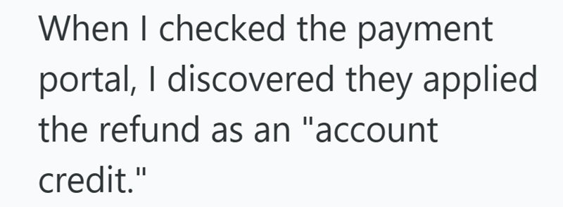 When I checked the payment portal, I discovered they applied the refund as an "account credit."