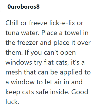 Ouroboros8 Chill or freeze lick-e-lix or tuna water. Place a towel in the freezer and place it over them. If you can't open windows try flat cats, it's a mesh that can be applied to a window to let air in and keep cats safe inside. Good luck.