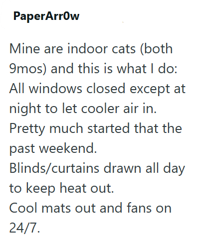 PaperArrow Mine are indoor cats (both 9mos) and this is what I do: All windows closed except at night to let cooler air in. Pretty much started that the past weekend. Blinds/curtains drawn all day to keep heat out. Cool mats out and fans on 24/7.