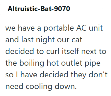 Altruistic-Bat-9070 we have a portable AC unit and last night our cat decided to curl itself next to the boiling hot outlet pipe so I have decided they don't need cooling down.