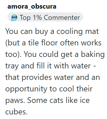 amora obscura Top 1% Commenter You can buy a cooling mat (but a tile floor often works too). You could get a baking tray and fill it with water - that provides water and an opportunity to cool their paws. Some cats like ice cubes.
