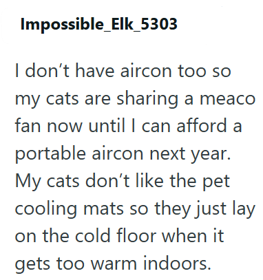 Impossible_Elk_5303 I don't have aircon too so my cats are sharing a meaco fan now until I can afford a portable aircon next year. My cats don't like the pet cooling mats so they just lay on the cold floor when it gets too warm indoors.