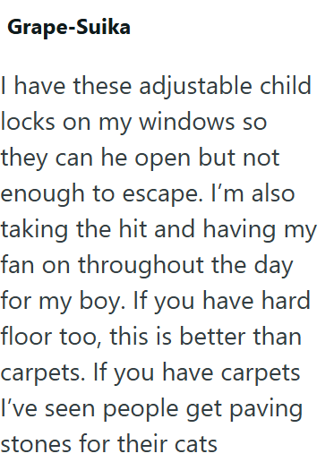 Grape-Suika I have these adjustable child locks on my windows so they can he open but not enough to escape. I'm also taking the hit and having my fan on throughout the day for my boy. If you have hard floor too, this is better than carpets. If you have carpets I've seen people get paving stones for their cats