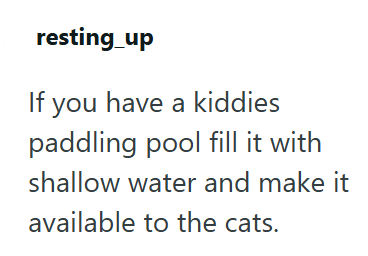 resting_up If you have a kiddies paddling pool fill it with shallow water and make it available to the cats.