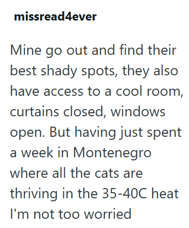 missread4ever Mine go out and find their best shady spots, they also have access to a cool room, curtains closed, windows open. But having just spent a week in Montenegro where all the cats are thriving in the 35-40C heat I'm not too worried
