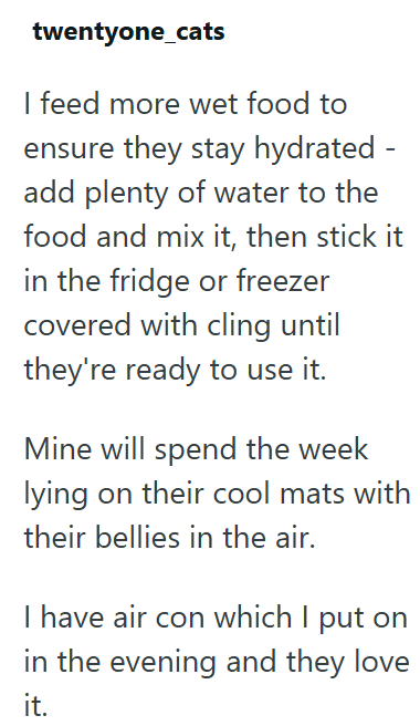 twentyone_cats I feed more wet food to ensure they stay hydrated - add plenty of water to the food and mix it, then stick it in the fridge or freezer covered with cling until they're ready to use it. Mine will spend the week lying on their cool mats with their bellies in the air. I have air con which I put on in the evening and they love it.
