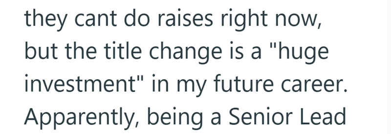 they cant do raises right now, but the title change is a "huge investment" in my future career. Apparently, being a Senior Lead