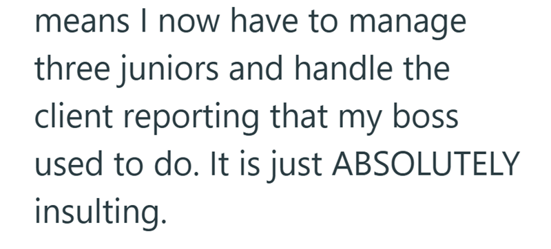 means I now have to manage three juniors and handle the client reporting that my boss. used to do. It is just ABSOLUTELY insulting.