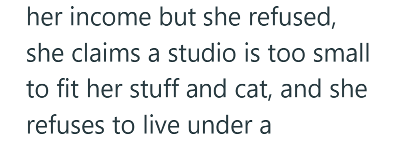 her income but she refused, she claims a studio is too small to fit her stuff and cat, and she refuses to live under a