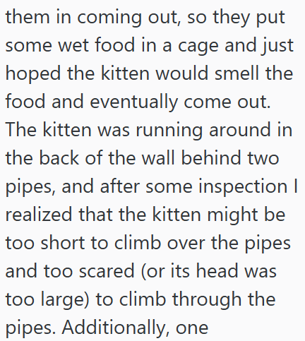 them in coming out, so they put some wet food in a cage and just hoped the kitten would smell the food and eventually come out. The kitten was running around in the back of the wall behind two pipes, and after some inspection I realized that the kitten might be too short to climb over the pipes and too scared (or its head was too large) to climb through the pipes. Additionally, one