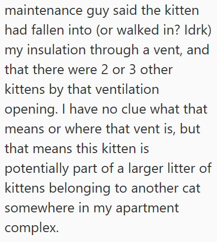 maintenance guy said the kitten had fallen into (or walked in? Idrk) my insulation through a vent, and that there were 2 or 3 other kittens by that ventilation opening. I have no clue what that means or where that vent is, but that means this kitten is potentially part of a larger litter of kittens belonging to another cat somewhere in my apartment complex.