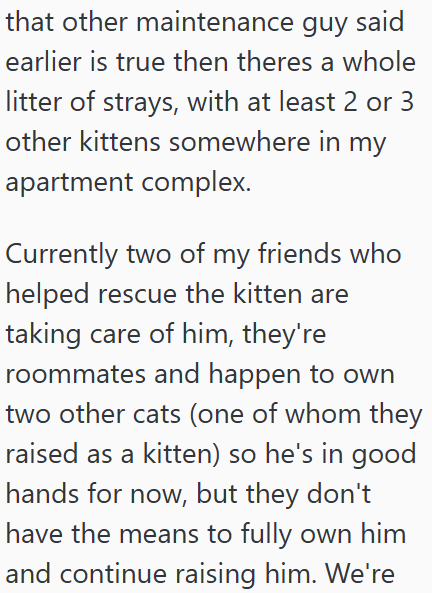 that other maintenance guy said earlier is true then theres a whole litter of strays, with at least 2 or 3 other kittens somewhere in my apartment complex. Currently two of my friends who helped rescue the kitten are taking care of him, they're roommates and happen to own two other cats (one of whom they raised as a kitten) so he's in good hands for now, but they don't have the means to fully own him and continue raising him. We're
