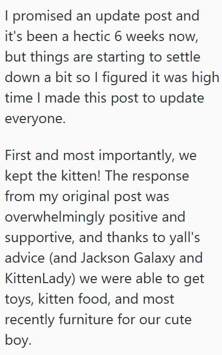 I promised an update post and it's been a hectic 6 weeks now, but things are starting to settle down a bit so I figured it was high time I made this post to update everyone. First and most importantly, we kept the kitten! The response from my original post was overwhelmingly positive and supportive, and thanks to yall's advice (and Jackson Galaxy and Kitten Lady) we were able to get toys, kitten food, and most recently furniture for our cute boy.