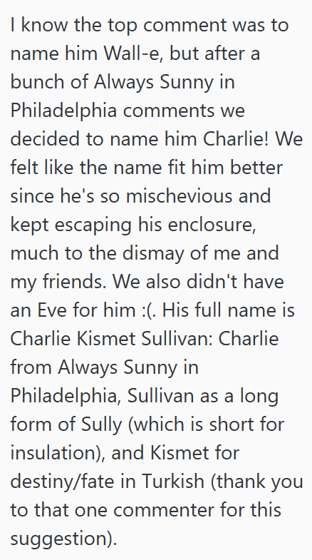 I know the top comment was to name him Wall-e, but after a bunch of Always Sunny in Philadelphia comments we decided to name him Charlie! We felt like the name fit him better since he's so mischevious and kept escaping his enclosure, much to the dismay of me and my friends. We also didn't have an Eve for him :(. His full name is Charlie Kismet Sullivan: Charlie from Always Sunny in Philadelphia, Sullivan as a long form of Sully (which is short for insulation), and Kismet for destiny/fate in Turk
