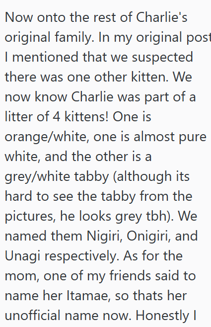 Now onto the rest of Charlie's original family. In my original post I mentioned that we suspected there was one other kitten. We now know Charlie was part of a litter of 4 kittens! One is orange/white, one is almost pure white, and the other is a grey/white tabby (although its hard to see the tabby from the pictures, he looks grey tbh). We named them Nigiri, Onigiri, and Unagi respectively. As for the mom, one of my friends said to name her Itamae, so thats her unofficial name now. Honestly I