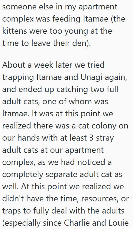 someone else in my apartment complex was feeding Itamae (the kittens were too young at the time to leave their den). About a week later we tried trapping Itamae and Unagi again, and ended up catching two full adult cats, one of whom was Itamae. It was at this point we realized there was a cat colony on our hands with at least 3 stray adult cats at our apartment complex, as we had noticed a completely separate adult cat as well. At this point we realized we didn't have the time, resources, or tra