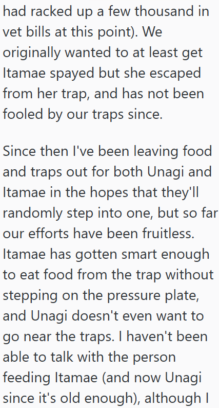 had racked up a few thousand in vet bills at this point). We originally wanted to at least get Itamae spayed but she escaped from her trap, and has not been fooled by our traps since. Since then I've been leaving food and traps out for both Unagi and Itamae in the hopes that they'll randomly step into one, but so far our efforts have been fruitless. Itamae has gotten smart enough to eat food from the trap without stepping on the pressure plate, and Unagi doesn't even want to go near the traps. I