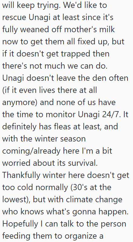 will keep trying. We'd like to rescue Unagi at least since it's fully weaned off mother's milk now to get them all fixed up, but if it doesn't get trapped then there's not much we can do. Unagi doesn't leave the den often (if it even lives there at all anymore) and none of us have the time to monitor Unagi 24/7. It definitely has fleas at least, and with the winter season coming/already here I'm a bit worried about its survival. Thankfully winter here doesn't get too cold normally (30's at the l