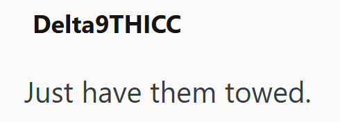 Delta9THICC Just have them towed.