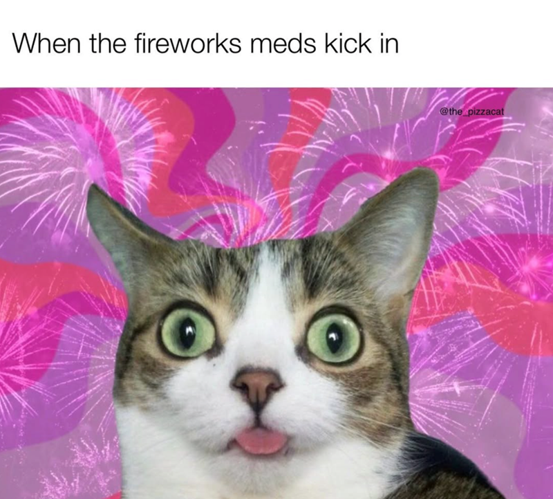 When the fireworks meds kick in @the_pizzacat