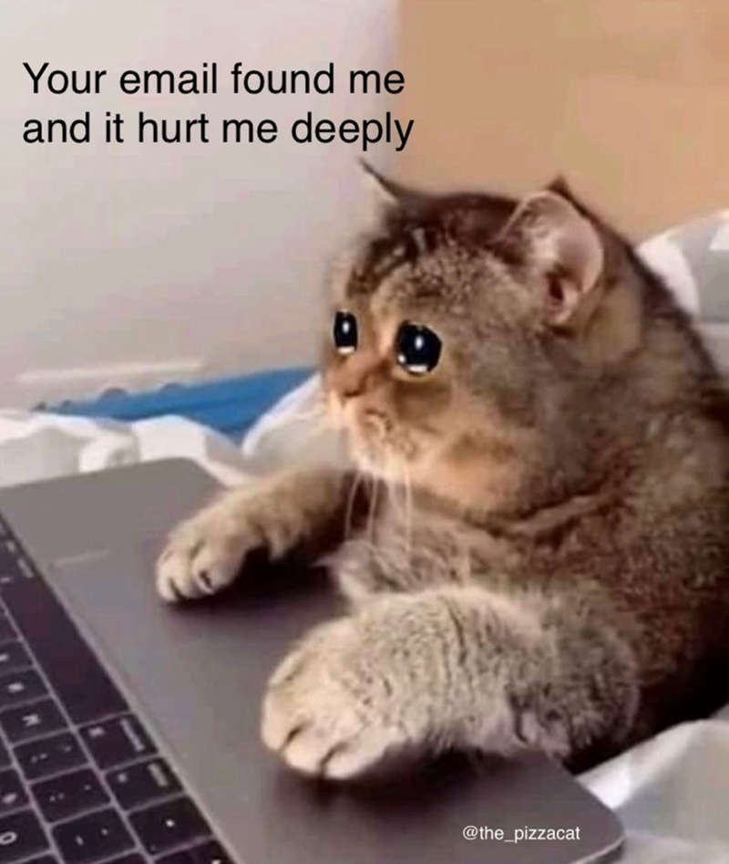 O A Your email found me and it hurt me deeply 4 1 @the_pizzacat